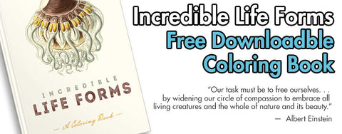Incredible Life Forms: A Coloring Book - Free Downloadable eColoringBook